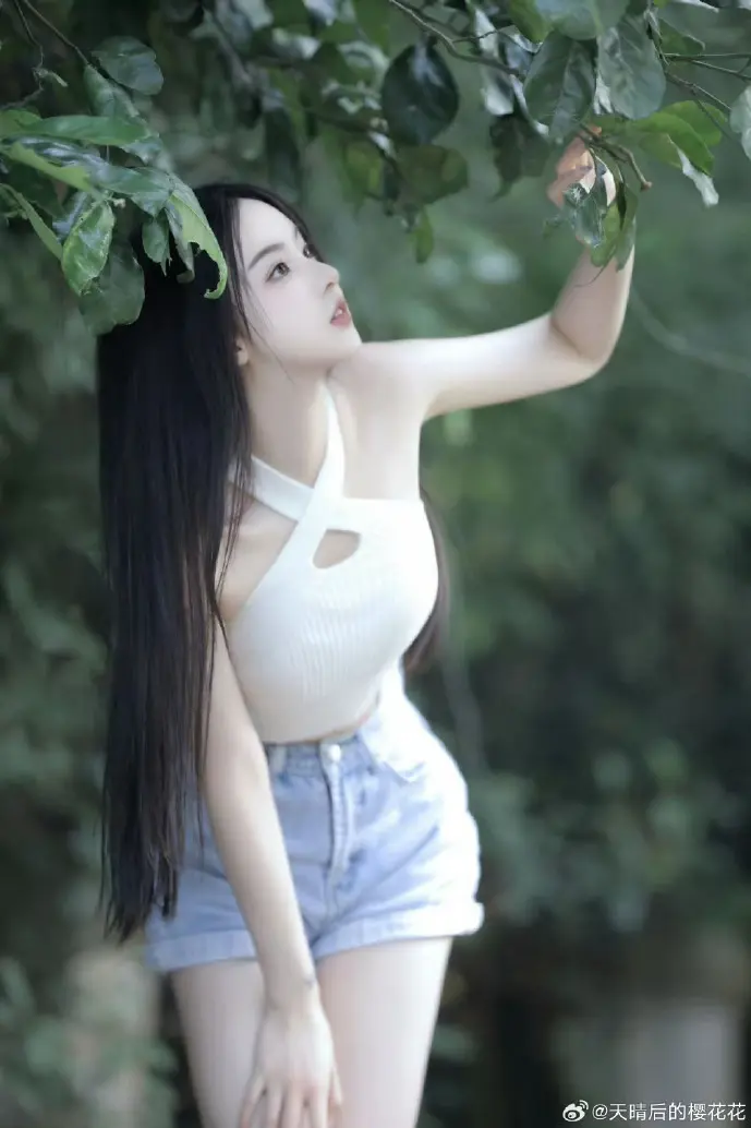 微信用户增长曲线